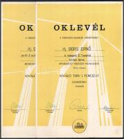 1976-1995 Híd-építéssel kapcsolatos oklevelek Bors Ernő/ifj Bors Ernő részére, köztük a Lágymányosi-...