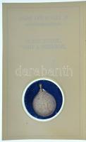 1991. "II. János Pál pápa Magyarországon" kétoldalas Ag emlékérem füllel, előlapján 2db ru...