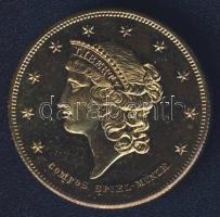 USA DN "City Hall - New York" aranyozott fém emlékérem T:exP