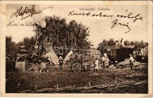 1933 Csongrád, cséplés gőzgéppel, magyar folklór. Bozó és Justin kiadása (EK)