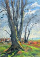 Incze István (1905-1978): Gernyeszegi park nagy fái (Erdély), 1970-es évek. Olaj, karton, jelezve jo...
