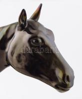 Grétsy László nyelvész (1932-2024) által elnyert 2012-es Prima Primissima Díj. Magyar oktatás és köz...