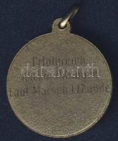 NSZK DN "Sikeres 100km-es futás" fém érdemérem T:2