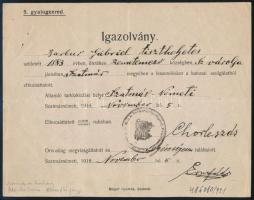 1918 Szatmárnémeti, igazolvány, katonai elbocsátójegy