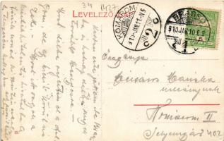 1910 Brassó, Kronstadt, Brasov; Fellegvár-sor, villák / Schlossbergzeile / Citadel, villas