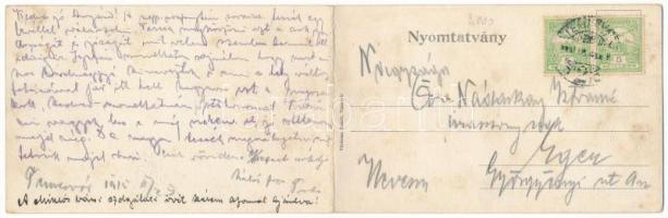 1915 Temesvár, Timisoara; Jenő herceg tér, Rukavina emlékmű (Szégyenszobor), villamos, takarékpénztá...