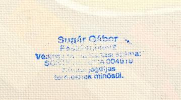 Sugár Gábor (1976- ): Kutya. Akril, foamix, vászon, jelzett, hátoldalán a művész bélyegzőjével, 50×7...