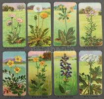 cca 1920-1940 Stühmer Növénytani képek. A-B-C album. "A" Album: 6 levélen 48 kép (25-48.,1...