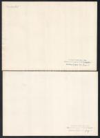 cca 1933 Kankovszky (Kankowsky) Ervin (1884-1945) fotográfus felvételei, 15 db nagyméretű fotó (sajt...