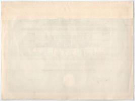 Mohács 1926. "Mohácsi Malomipar Részvénytársaság" részvény 100P-ről, szárazpecséttel T:XF ...