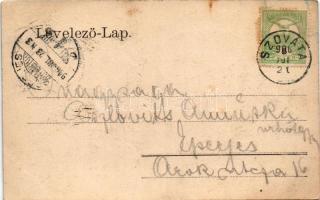 1906 Szovátafürdő, Baile Sovata; Kőszeghi Sándor nyaralója / villa, spa