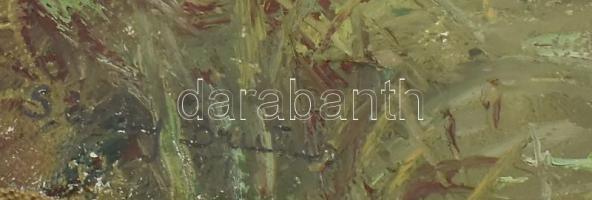 Sárdy Brutus (1892-1970): Vízparti táj (Budai hegyek), 1951. Olaj, vászon. Jelezve balra lent. Vakrá...