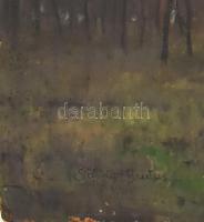 Sárdy Brutus (1892-1970): Kora tavaszi hangulat. Olaj, karton. Jelezve balra lent. Hátoldalán autogr...