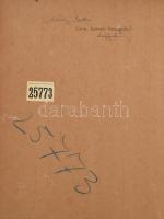 Sárdy Brutus (1892-1970): Kora tavaszi hangulat. Olaj, karton. Jelezve balra lent. Hátoldalán autogr...