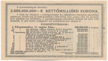 Budapest 1925. "Diák-Sorsjegy" 5000K értékben, "IX. sorozat, 029816" sorszámmal ...