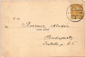 1900 Syr. Hypophosphit. Co. / Dr. Egger Leó és Egger Izidor gyógyszerészek köhögés elleni szirupjána...