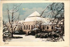 Zsibó, Jibou; Báró Wesselényi kastély télen. J. L. Seefehlner kiadása, kézzel színezett / castle in winter, hand-colored (EK)