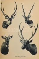 Széchenyi Zsigmond: Năhar. Indiai vadásznapló. 1-2. köt. Bp., 1940-1941., Vajna és Bokor, (Athenaeum...