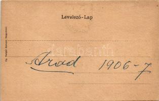 1906 Nagyvárad, Oradea; Szigligeti színház. Ifj. Berger Sámuel kiadása. Szecessziós címeres litho ke...