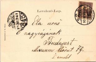 1901 Nagyvárad, Oradea; Szigligeti színház. Sonnenfeld A. kiadása. Szecessziós lóherés litho keret /...