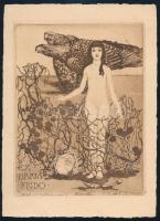 Stella, Guido Balsamo (1882-1941): Ex libris Frido, 1909. Rézkarc, papír, jelzett a karcon, 15,5x12 cm.