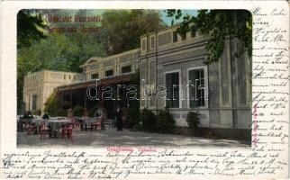 1903 Buziásfürdő, Baile Buzias; Gyógyterem, étterem, terasz vendégekkel és pincérekkel. Herrling Károly kiadása / Cursalon / spa, restaurant terrace with guests and waiters (EB)