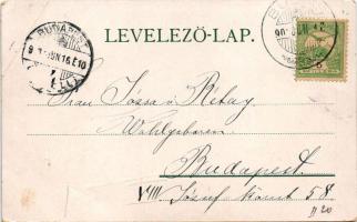 1903 Buziásfürdő, Baile Buzias; Gyógyterem, étterem, terasz vendégekkel és pincérekkel. Herrling Kár...