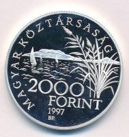 1997. 2000Ft Ag "Régi balatoni hajók / Helka és Kelén" kapszulában T:PP
Adamo EM146