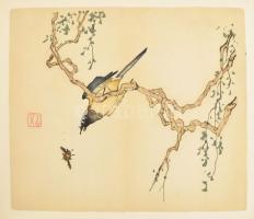 Jan Tschichold - Neu chinesische Farben drucke aus der Zehnbambushalle. Der Holzschneider und Bilddr...