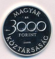 2000. 3000Ft Ag "Veszélyeztetett állatvilág - hód" kapszulában T:PP apró folt
Adamo EM165