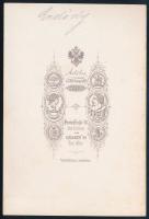 cca 1870 gróf Erdődy Hanna (Johanna) (1845-1872), gróf Széchenyi Béla (1837-1918) feleségének portré...