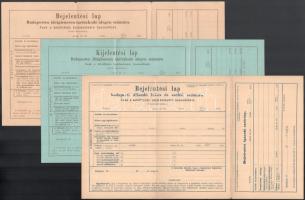 1897 3 féle használatlan rendőrségi bejelentő lap
