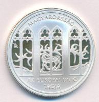 2004. 5000Ft Ag "Magyarország az Európai Unió tagja" kapszulában T:PP folt, ujjlenyomat Adamo EM190