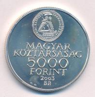 2003. 5000Ft Ag "A Rákóczi szabadságharc 300. évfordulója" kapszulában T:BU Adamo EM186