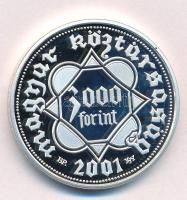 2001. 3000Ft Ag "Ezeréves a magyar pénzverés" kapszulában T:PP
Adamo EM170