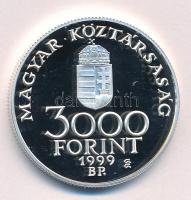 1999. 3000Ft Ag "Integráció az EU-ba - EURO III" kapszulában T:PP 
Adamo EM159