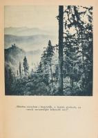 Nadler Herbert: A keleti és déli Kárpátokban. Vadásznapló. Bp., 1943, Vajna és Bokor, 295+1 p.+40 (k...