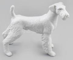 Hollóházi airedale terrier. Jelzett, fehérmázas, hibátlan, 19x16 cm /// Hollóházi Airedale terrier. ...