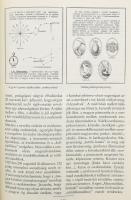 Gergely Ferenc: A magyar cserkészet története 1910-1948. Bp., 1989, Göncöl Kiadó. Kiadói egészvászon...