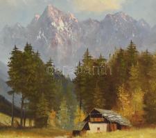 Olvashatatlan jelzéssel, XX. sz. vége: Alpesi táj. Olaj, vászon. 50x60 cm. Dekoratív fakeretben