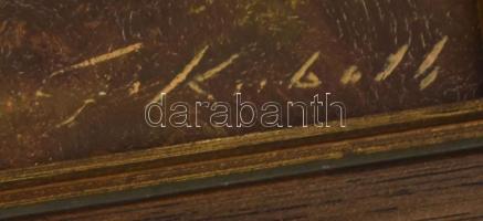 Olvashatatlan jelzéssel, XX. sz. vége: Alpesi táj. Olaj, vászon. 50x60 cm. Dekoratív fakeretben