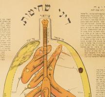 A tüdő kóser vágását szemléltető nagyméretű ábra leírással, hentesek számára, szakadásokkal