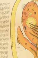 A tüdő kóser vágását szemléltető nagyméretű ábra leírással, hentesek számára, szakadásokkal