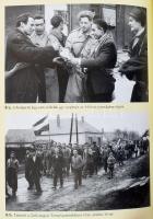 Romsics Ignác: Magyarország története. Bp., 2017, Kossuth. Kiadói kartonált papírkötés, kiadói papír...