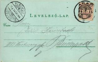 1899 (Vorläufer) Arad, Andrássy tér. Adler (fotográfus?) aláírásával / square