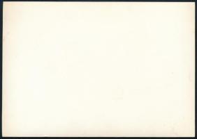 Gina Lollobrigida (1927-2023) színésznő aláírt fotója / Autopgraph signed photo of actress Gina Loll...