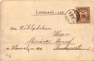 1900 Szászsebes, Mühlbach, Sebes; Evang. Kirche, Stadt-Park, Evang. Gymnasium, Herren-Gasse / Evangé...