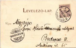 1900 Kolozsvár, Cluj; Mátyás király szülőháza. Gibbon Albert kiadása / birthplace of Matthias Corvin...