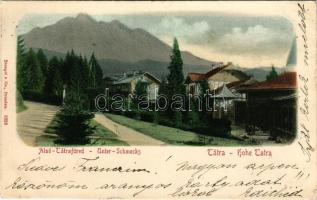 1900 Alsótátrafüred, Tátrafüred, Unter-Schmecks, Dolny Smokovec (Magas-Tátra, Vysoké Tatry); (EK)