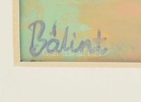 Bálint jelzéssel: Fiú cicával. Vegyes technika, papír, jelzett. Üvegezett fakeretben, 28,5×19,5 cm